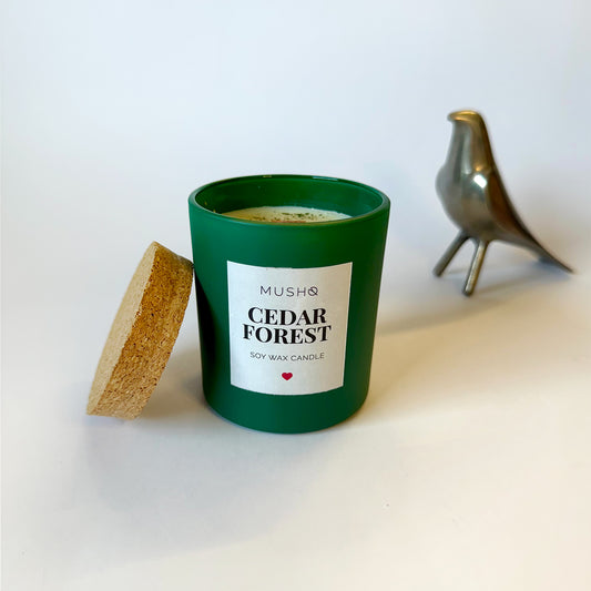 Cedar Forest - Jar Candle